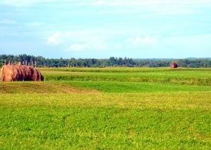 с.Сура