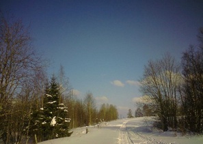 д. Петрова