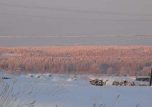 д.Петрова