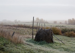д.Веркола (фотограф Сергей Олюков http://vk.com/album10869692_117890498)