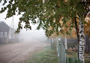 д.Веркола (фотограф Сергей Олюков http://vk.com/album10869692_117890498)