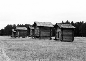 д.Едома (фотограф Александр Тарасов)
