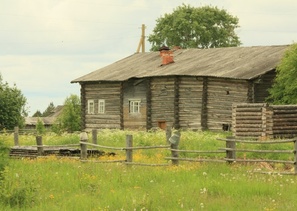 д. Немнюга (фотограф Александр Тарасов)