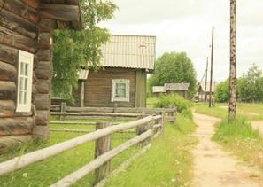 д. Немнюга (фотограф Александр Тарасов)