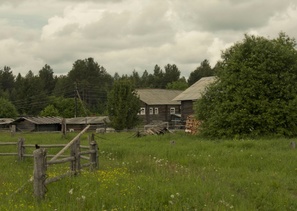 д. Немнюга (фотограф Александр Тарасов)