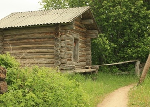 д. Немнюга (фотограф Александр Тарасов)